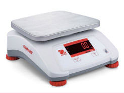 Valor 2000 Bench Scales large image