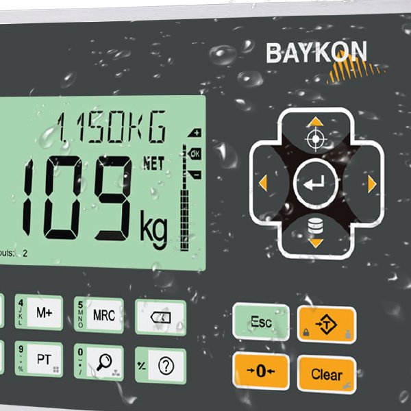 BX30 Plus Weighing Indicator large image