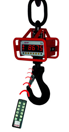 View Crane Scales Product