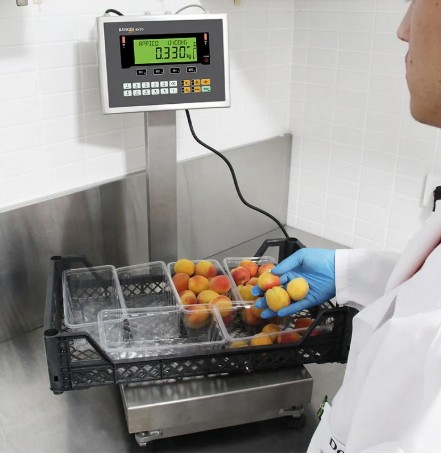 Baykon Checkweigher Bench Scale