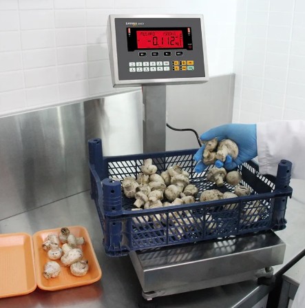 Baykon Checkweigher Bench Scale large image