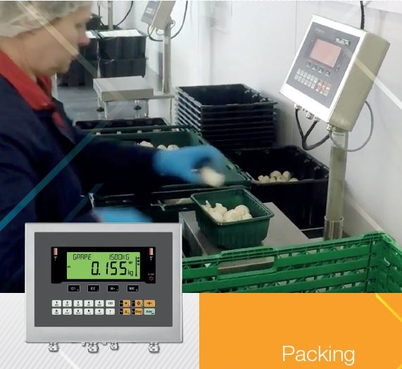 Negative Checkweigher Takeaway Scales Software large image